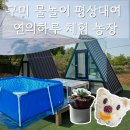 무지개농장 | 구미 물놀이 오두막 대여 연잎밥,다육이 만들기[연의하루 체험농장]