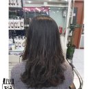 전국머리자랑 이미지