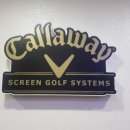 캘러웨이 스크린장 이미지