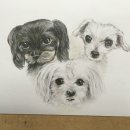 색연필 드로잉화 이미지