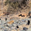 외양포해변 이미지