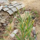 율하우스 이미지