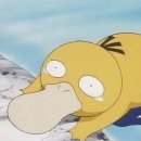 제일경희태권도 | [경희대학교 체육학과 교직이수] 교직이수 성공 후기