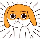 베어문스 이미지