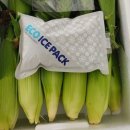 상상초당 이미지