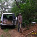 대자연농원 이미지