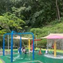 양지동 물놀이장 이미지