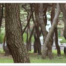 다람쥐공원 이미지