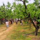 바람햇살농장 이미지