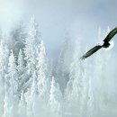 금보농장 이미지