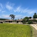 외암골 | 충남 아산 외암리민속마을