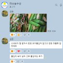 싱싱스낵