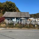 쿱스토어 울산천상점 | [내돈내산]복순도가 전통주 ‘손막걸리’ 후기