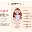 코코슈