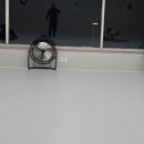 무 주짓수 아카데미 검단당하동 이미지