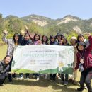 불암산산림치유센터 네이버블로그