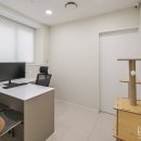 더원동물의료센터 이미지