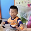 상안풋살구장 이미지