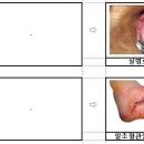 그림문구