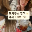 봄봄안경 | 💇 제천 미용실 후기 ｜ 봄봄 in 헤어에서 모카무스 염색 &amp; 클리닉