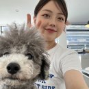 코프키노 이미지