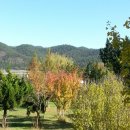 글라렛나눔의집 이미지