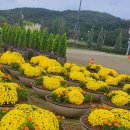 대구정원박람회 이미지