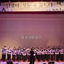 안산시여성합창단 제31회 정기연주회 | 🌿혼성합창곡 추천, 담쟁이(도종환 시, 지혜정 곡) 역대 연주 감상하기✨