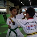 대한민국태권도장 이미지