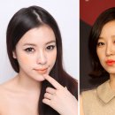 포인트독 이미지