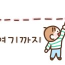 백정생고기