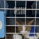 오케이동물병원 이미지