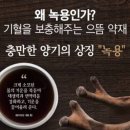 안심한의원