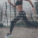 맥스핏 이미지
