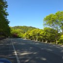 대둔산관광호텔 | 전북 완주 가볼만한곳 대둔산 케이블카 정상 운영시간 요금