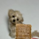 고소미치킨 | [후기] 벨라스키친 고소미 국내산 강아지 수제 간식