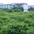 안덕면 문화마을 내 이미지