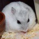 고병기동물병원 이미지