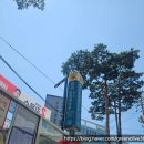 씨유 우리아이들성북점 | [서울]성북세계음식축제 후기｜아이랑 샤슬릭부터 망고라씨까지 먹방 정복기