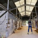 웅지승마센터 이미지