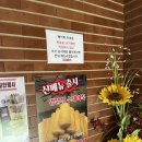 분식가 | [잠실/석촌] 줄서는 식당 대창 떡볶이_입분식가정집