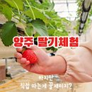 하나농원 - 인제군 황태길 324 | 하나농원