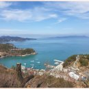 자매돌산갓김치 이미지