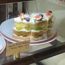 앨리스케이커리&카페