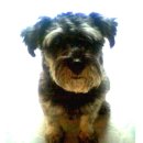 역곡남부역 이미지