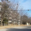 개포공인중개사사무소 이미지