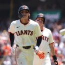 이정후 카카오 검색결과