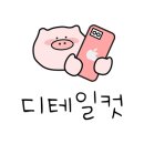 코코야돈카츠