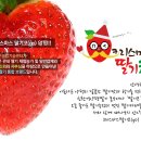 정현농장 이미지