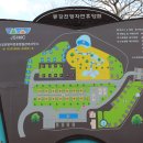 동강전망자연휴양림 이미지